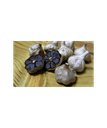 GAIHAMSA_ Ail noir 2 têtes entières environ - 120g _PRODUIT_RECETTE