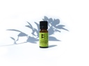 Huile essentielle de Ravintsara Bio - 10 ml